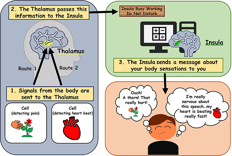 Untapped Benefits of Interoceptive Awareness (Understanding Your Body's Signals) (2)