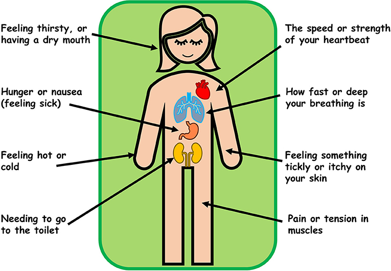 Untapped Benefits of Interoceptive Awareness (Understanding Your Body's Signals) (3)