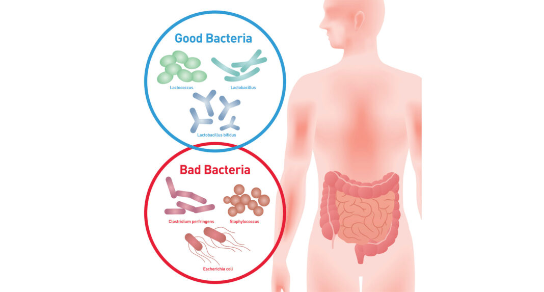 The Connection Between Oral Microbiome and Systemic Health (1)
